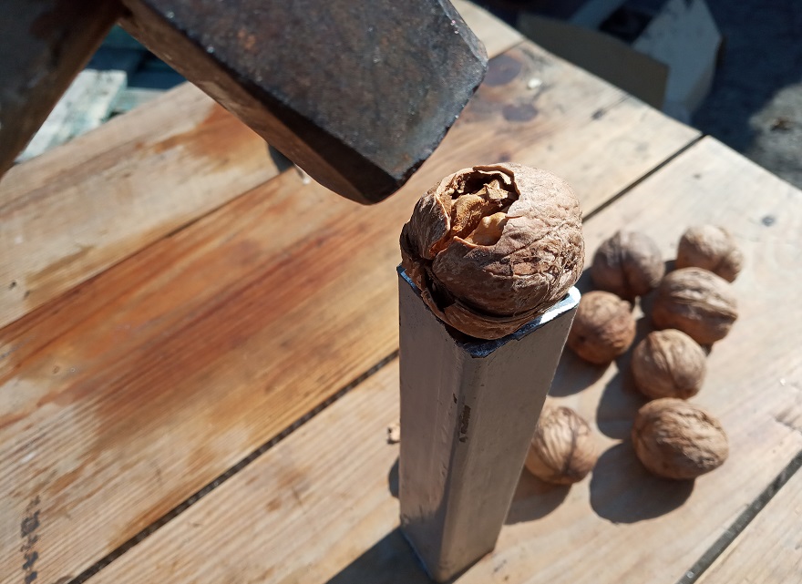 Cómo partir las nueces para que los granos queden enteros. (Foto y video :) 